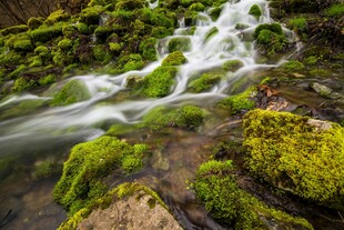 山间溪流淌过翠绿苔藓
