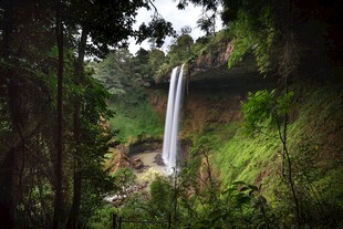 雨林中的壮观瀑布景观