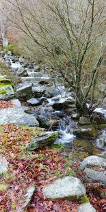 山间溪流与散落石块景观