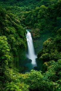 森林中的壮丽瀑布景观