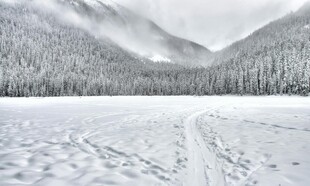 冬日雪野山林风光