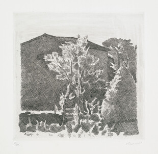 黑白风景版画中的树木房屋