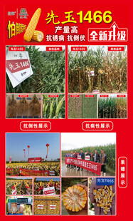 东北1468农场农产品展销