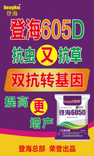 登海605D抗草双抗转基因玉米