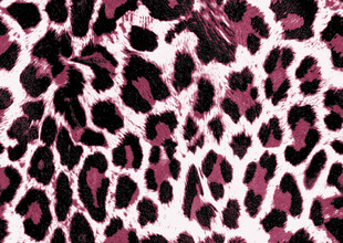 豹纹图案纹理背景图