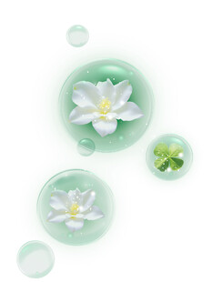 清新绿栀子花朵装饰图案