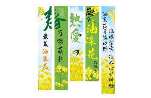 油菜花吊旗