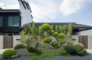 现代庭院绿植景观