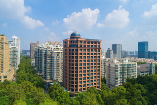 城市林立高楼与葱郁绿树