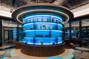 大型圆形水族箱展示空间