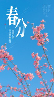 春分时节绽放的粉嫩花朵