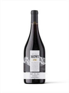 精致香槟酒玻璃酒瓶展示样机