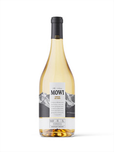 通明淡金色香槟酒酒瓶样机