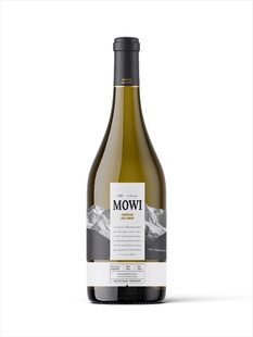 单瓶香槟酒玻璃瓶展示样机