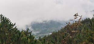 登明堂山