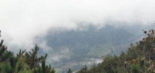 登天柱山