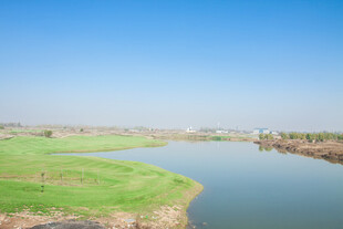 河畔绿野风光