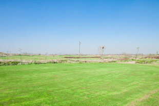 广袤绿草地 蓝天相映衬