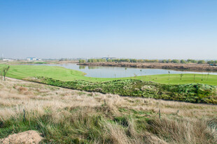 广袤田野间的开阔自然景致