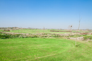 广袤绿野 蓝天相伴的景致
