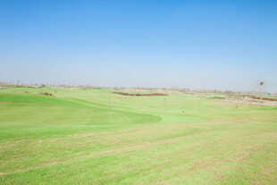 广阔绿草地 蓝天相衬