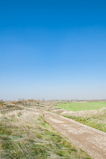 乡间土路 广袤绿野蓝天