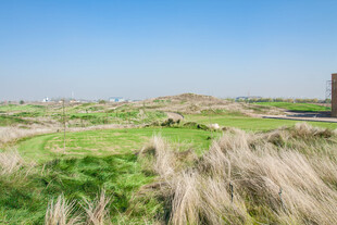 草原风光与稀疏植被