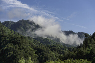山间云雾缭绕的秀丽景致