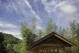 竹林中的古朴木屋