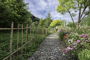 田园风花园小径景观