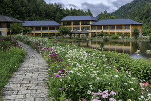 湖畔繁花环绕的静谧建筑