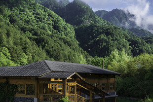 山间木屋 隐于翠绿山林间
