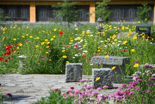 花园中的多彩花卉与石景