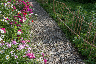 碎石小径旁的缤纷花卉