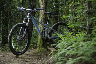 林间山地自行车