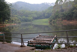 湖畔木栈 山林环绕景致