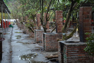 乡村雨中砖砌小道景象