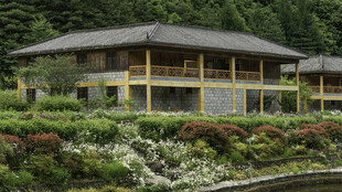 日式风格庭院木屋建筑