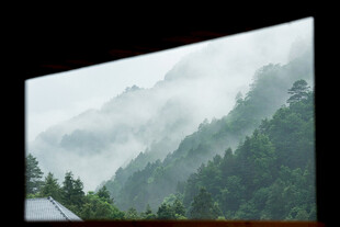 山间云雾缭绕的翠绿景致