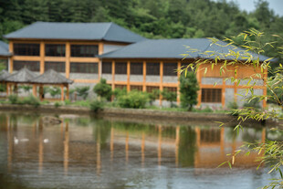 湖畔木质建筑 静谧风光