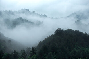 山间云雾缭绕的壮美景色