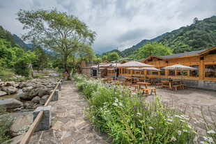 山间木屋旁的自然景致