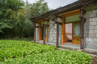 田园小屋旁的翠绿菜地