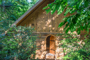 林间小屋 隐于绿意之中