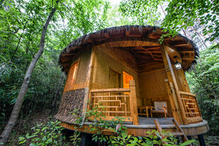林间木屋 自然中的静谧居所