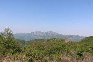 山间景色 绿意盎然的远方