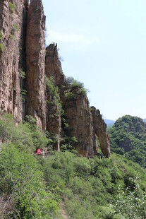 陡峭山壁旁的葱郁植被
