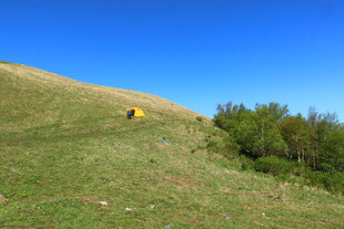 山坡上的开阔自然景致