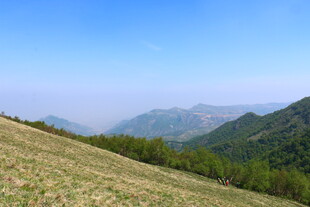 山间绿野 蓝天之下风光美