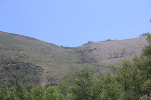 青山绿树的自然景致